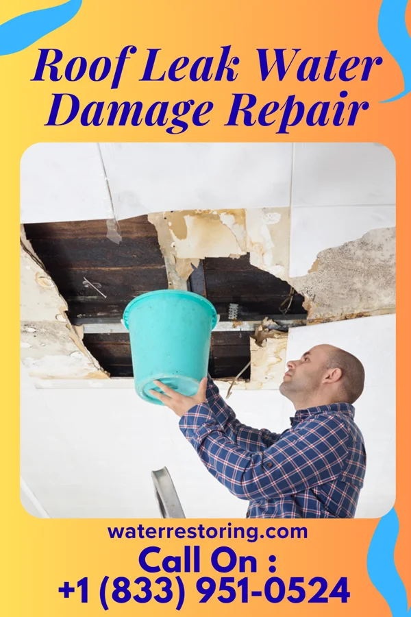 Roof Leak Water Damage Repair in Wolfforth, TX