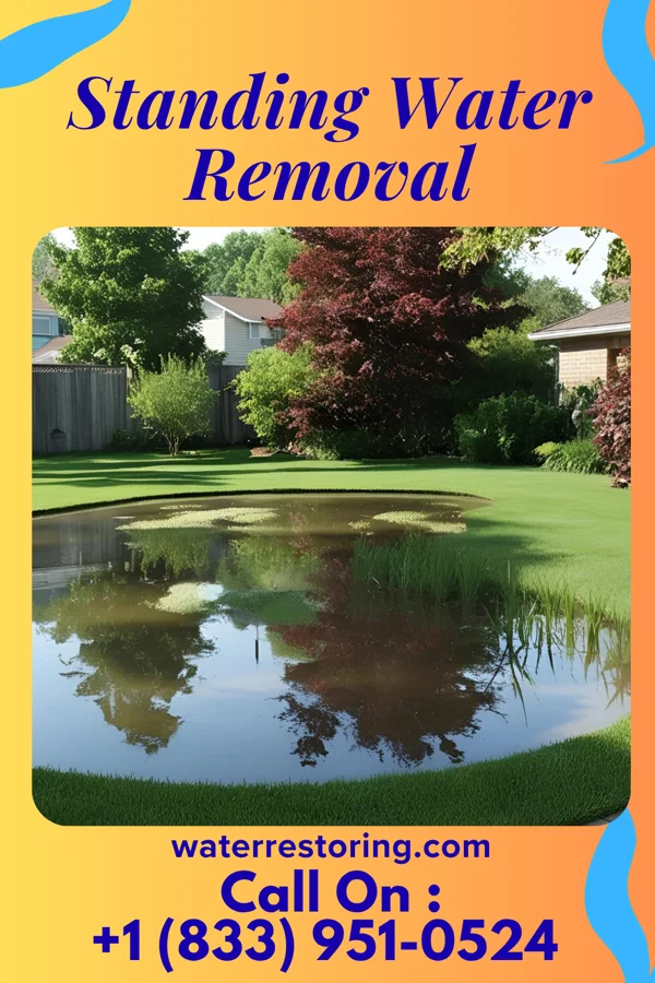 Standing Water Removal in Wolfforth, TX